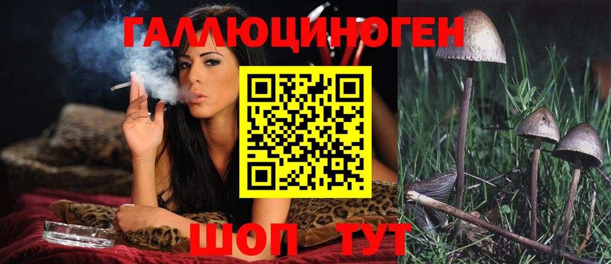 Советск  как найти   Вход с VPN  Псилоцибиновые грибы MAGIC MUSHROOMS 